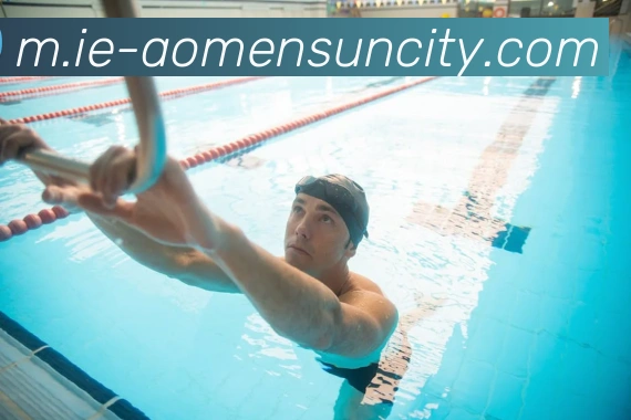 太阳城网站平台生态图