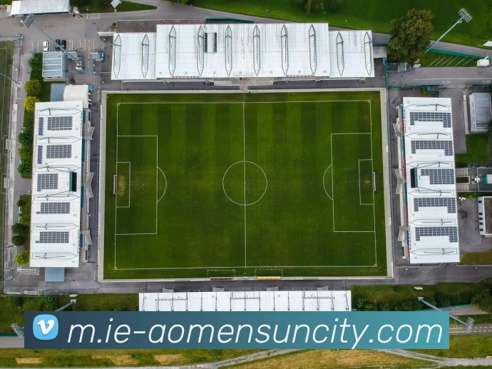 太阳城网站APP 封面图