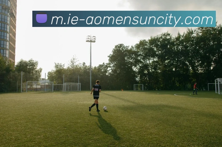 数据防护可视化